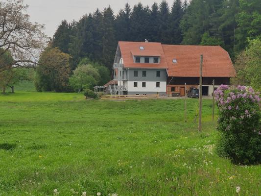 STEIDL. Die KFZ Sachverständigen.