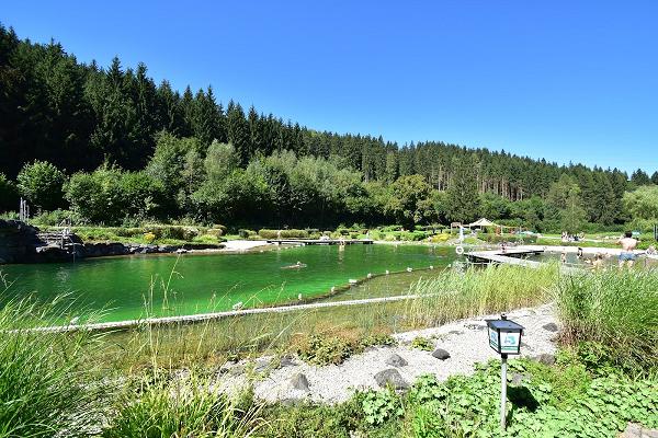 Sachverständiger für Garten- und Landschaftsbau Wiedermann