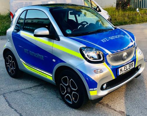 die münchener Gutachter