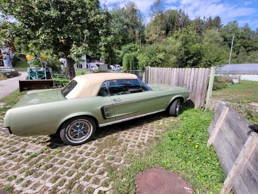 Günter Lechner - Sachverständiger