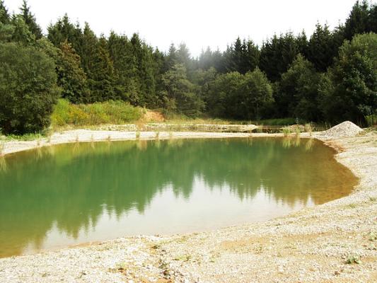 FauNa-Büro Dipl.-Biol. Englmaier - Naturschutzfachliche Gutachten