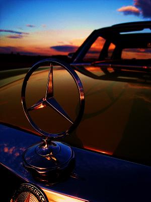 Gutachten und Prüfservice