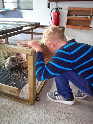 Kfz-Sachverständigenbüro Hirth