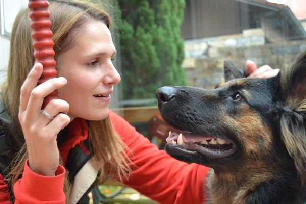 Schimmelsuchhund Bayern