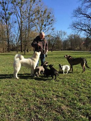 Hundegutachter Michael Abelski