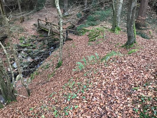 Sachverständigenbüro Bertram Augustin