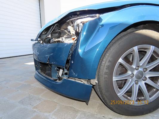 KFZ Gutachter Alterna