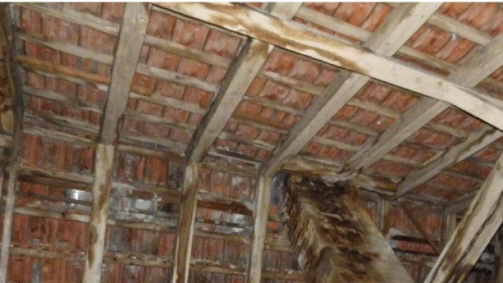 Meinhard Böhm Sachverständiger Holzschutz