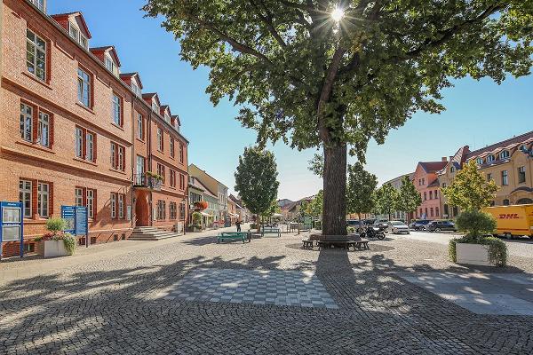 Elefant Immobilien GmbH