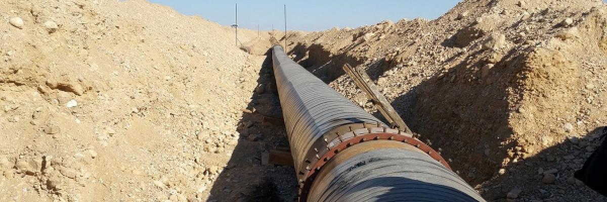 Sachverständige Dr. Fischer