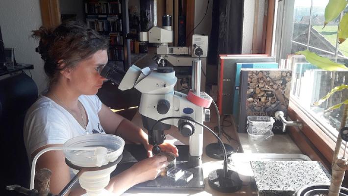 Archäobotanik Labor Rössner