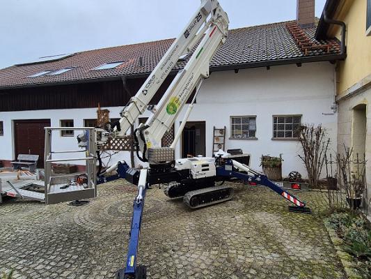 Der Baumgutachter Ferdinand Bauer