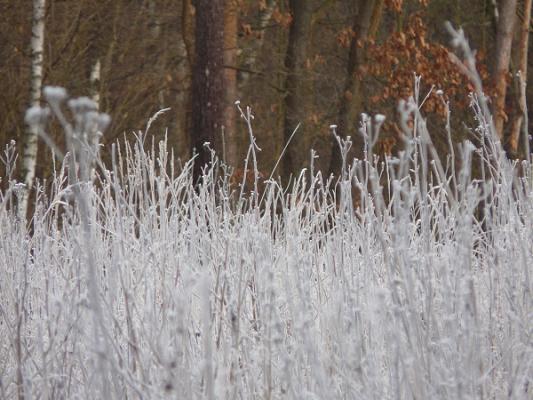 Immobilien Verwaltung Claus Kretzschmar
