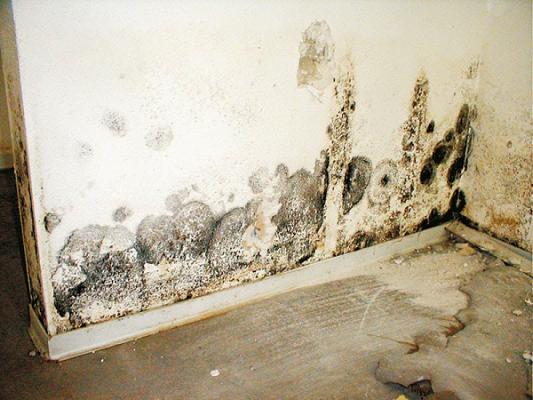 Ingenieur- und Sachverständigenbüro Hock