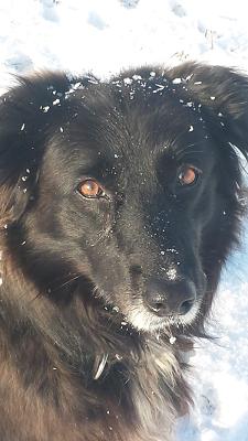 Sachverständigenbüro Maja Göb