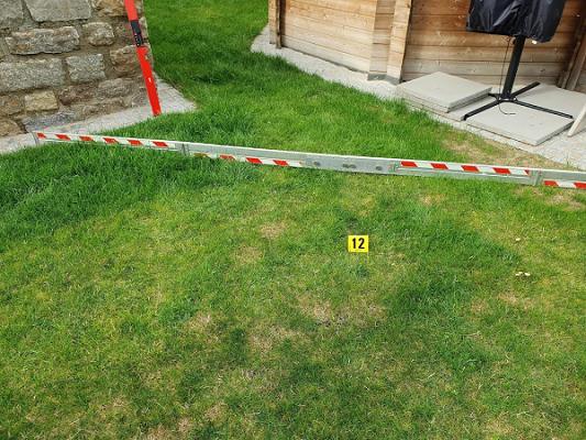 Dietmar Lindner, Sachverständiger