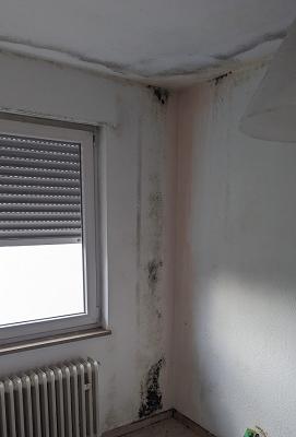 Sachverständigen Büro Rodriguez Garcia UG