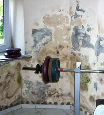 Sachverständigenbüro Sailer