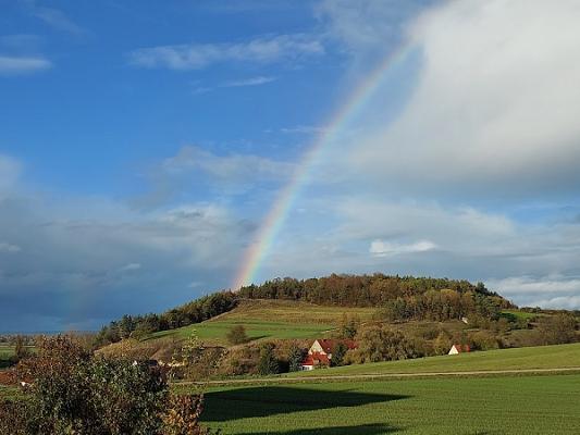 JKM - Wash & Gutachten