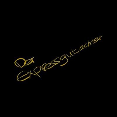 Der Expressgutachter - Kfz-Gutachter Darmstadt