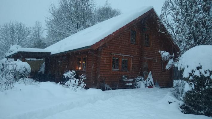 Harald Ludwig, Öffentlich bestellter Sachverständiger für Zimmerei und Blockhausbau