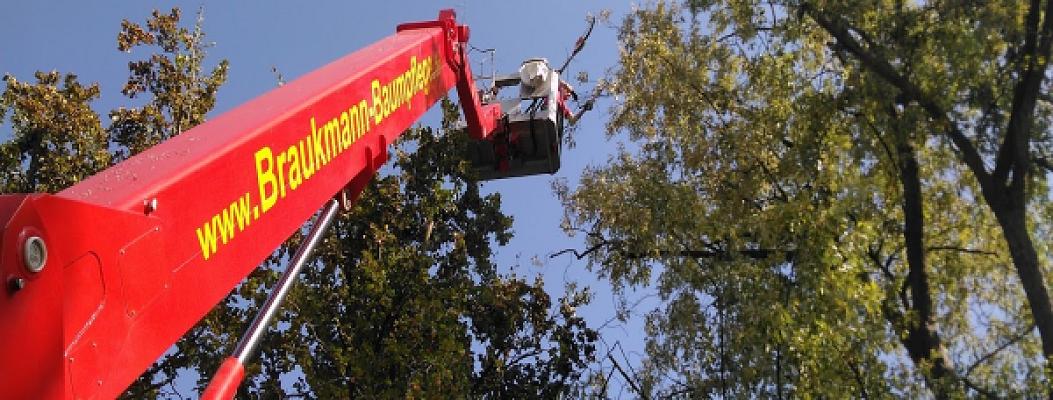 Braukmann Baumpflege GmbH & Co. KG