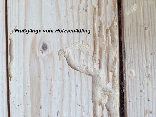 Sachverständigenbüro, ö.b.u.v. Stephan Ankert, Gutachten, Einbruchschäden, Küchen, Parkett, Fenster, Treppen, Bodenbeläge