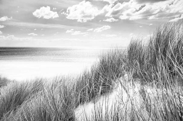 Harms & Harms Immobilien GmbH