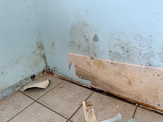 Sachverständigen- und Planungsbüro Maik Denecke