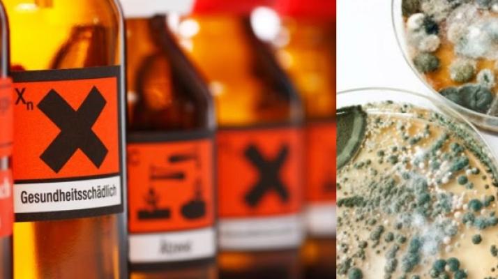 RAUM analytik | Schimmel-Schadstoff-Gutachter