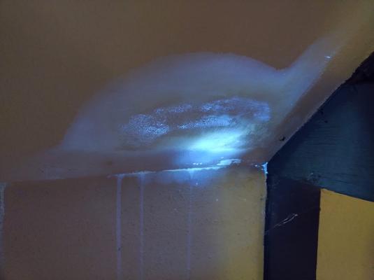 ISO17024 zertifiziert Gutachter für Holz und Bautenschutz Schimmelschäden