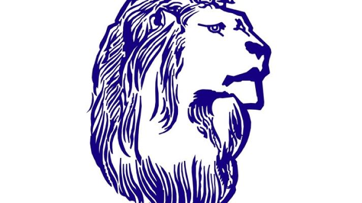 Bauschverständigen-Büro Leeuwestein