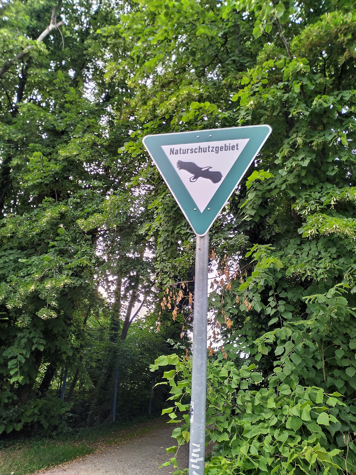 6832b3181d936