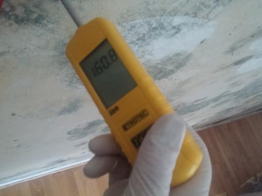 schimmelgutachter-rheinland.de