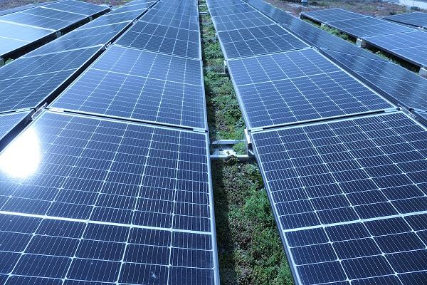 Jan Baron Dachdeckermeister, öffentlich bestellter und vereidigter Sachverständiger für das Dachdeckerhandwerk