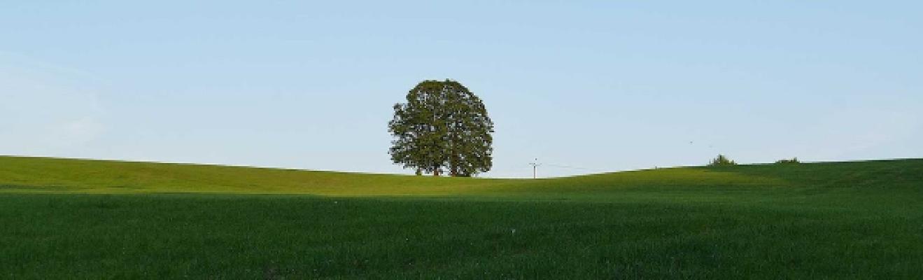 Planungs- & Sachverständigenbüro Dipl. Ing. Marc Wilde