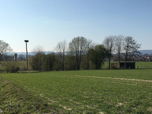 Reinhard Johanning KFZ-Sachverst.