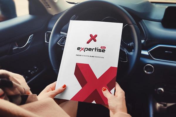 PROEXPERTISE - KFZ-Sachverständiger & Gutachter Lippe – Davit Aloev