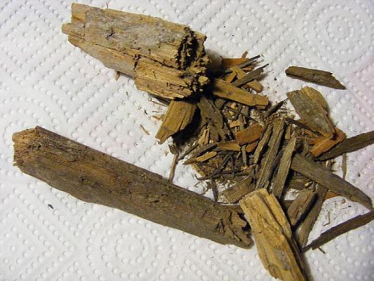 Müller & Partner - Sachverständige für Schadstoffe und Pilzbefall