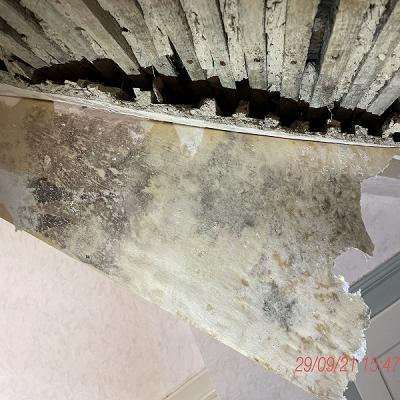 Bausachverständigenbüro Fuckert