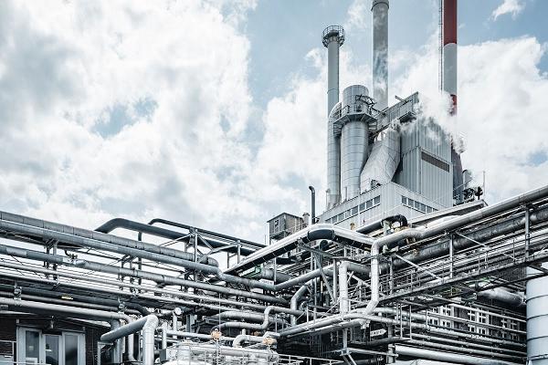 Robert Wieggers Gutachter