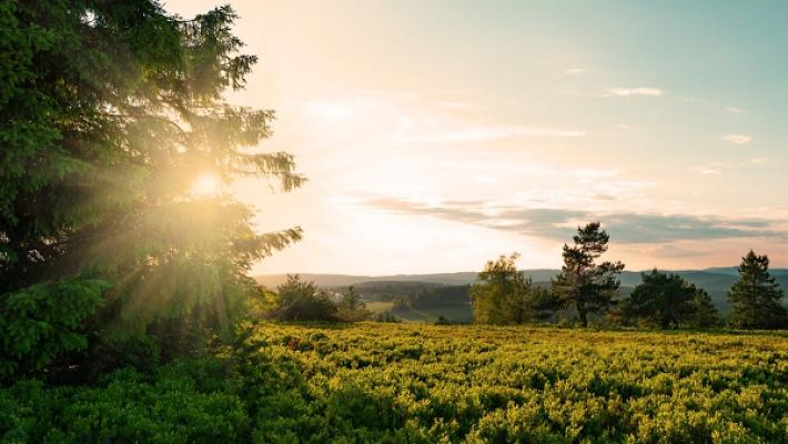 GoodSauerlandService