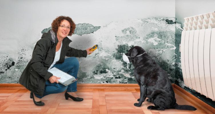 Sachverständigenbüro Dipl.-Ing. Renate Wagner