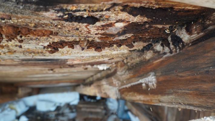 Sachverständiger Heigert