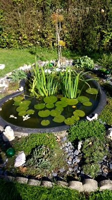 Sachverständigenbüro Harald Schneck