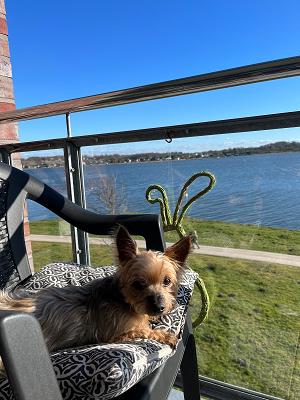 Sachverständiger Dipl.-Ing. Johannes Paulsen