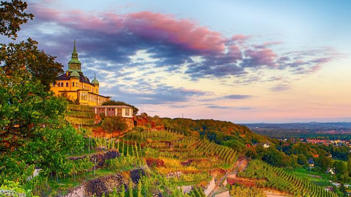 Steinrücken Immobilien