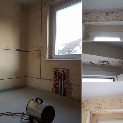 Schimmel-Doktor - Wir heilen Ihr Zuhause!