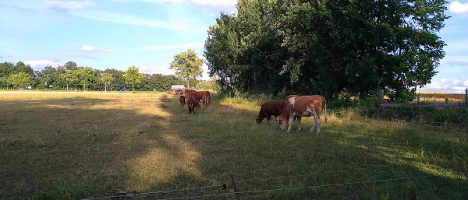 Daniel Menges Landwirtschaftlicher Beratungsdienst