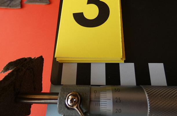 Thüringer Gutachter